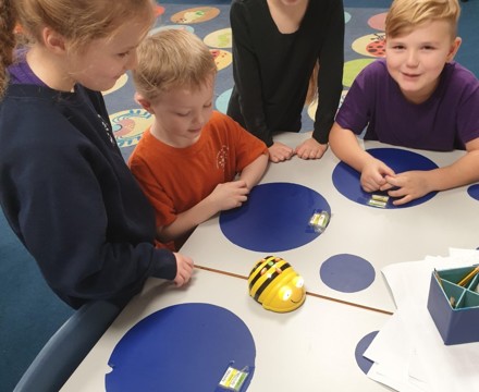 Beebot 6