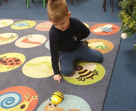 Beebot 5